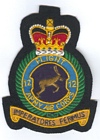 12 Flight badge