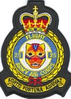 25 Flight badge