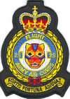 25 Flight badge