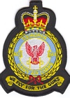 663 Squadron badge