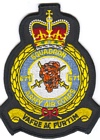 671 Squadron badge