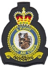 8 Flight badge