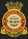 111 Squadron badge