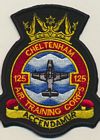 125 Squadron badge