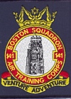 141 Squadron badge