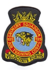 195 Squadron badge