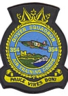 354 Squadron badge