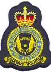 613 VGS badge