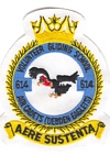 614 VGS badge