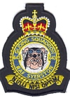 643 VGS badge
