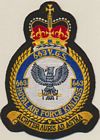 663 VGS badge