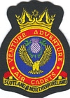 Scotland & Northern Ireland Region badge