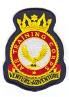 Air Training Corps badge