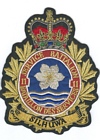 11 (Victoria) Service Battalion badge
