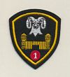 1 ASG badge