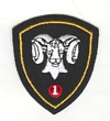 1 CMBG badge