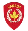 25 Canadian Army Infantry Brigade badge