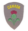 27 Canadian Army Infantry Brigade - Highland Battalion badge
