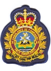 33 Field Ambulance badge