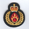 Ammunition Technical Officer badge