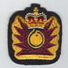 Explosive Ordinance Disposal badge