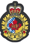 Forward Mobile Support Unit badge