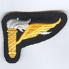 Patrol Pathfinder badge
