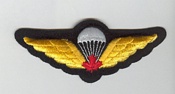 Airborne Qualified badge 1969-