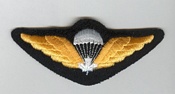 Airborne Skilled badge 1969-