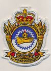 10 Field Technical Training Unit/Squadron badge
