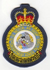 10 Tactical Air Group badge