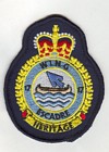 17 Wing badge