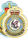 22 Wing badge