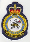 2 Wing badge