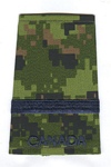 2Lt insignia