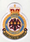 3 Wing badge