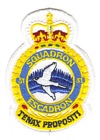 51 Squadron badge