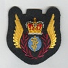 Aeromedical Evacuation insignia 1969-85