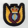 Aeromedical Evacuation insignia 1986 - 