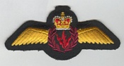 Airborne Electronic Sensor Operator insignia 1969-85