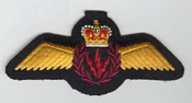 Airborne Electronic Sensor Operator insignia 1986 -