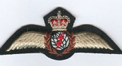 Airborne Interceptor insignia 1953 - 56