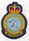 Air Reserve Group badge