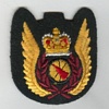 Airborne Warning and Control insignia 1986 - 