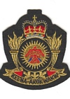 Air Weapons Control & Countermeasures School badge
