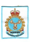 CFS Baldy Hughes badge