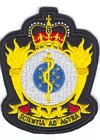 CF School of Aeromedical Training badge