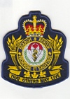 CF School of Search and Rescue badge