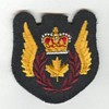 Flight Crew insignia 1969-85