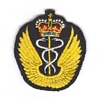 Flight Surgeon insignia 1953-68